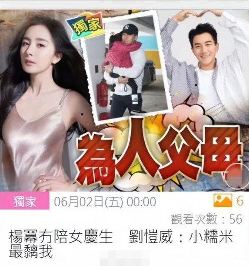 明星大爆料最新事件,最新事件揭秘，娱乐圈风云再起！